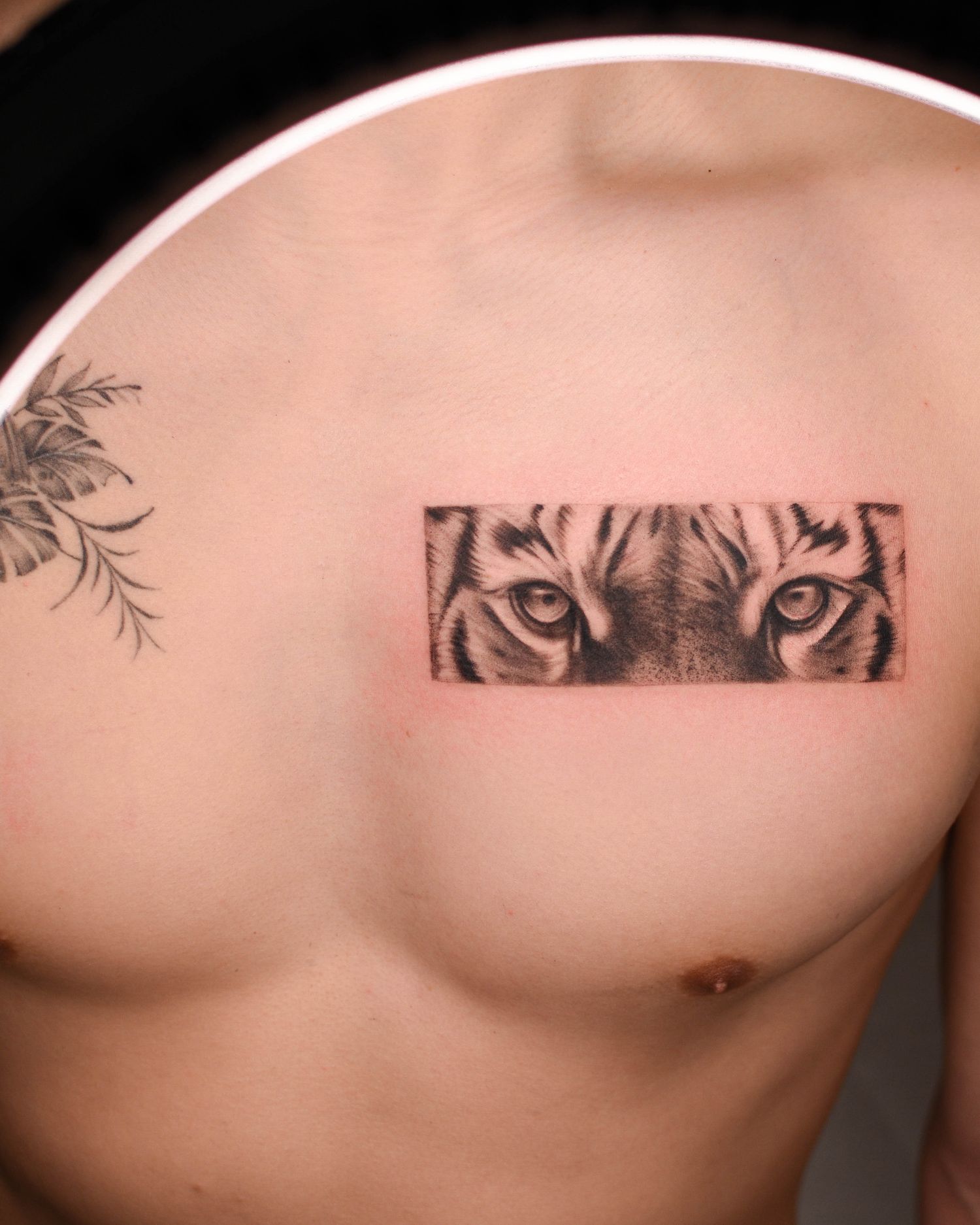 Tattoo — tiger eyes, chest