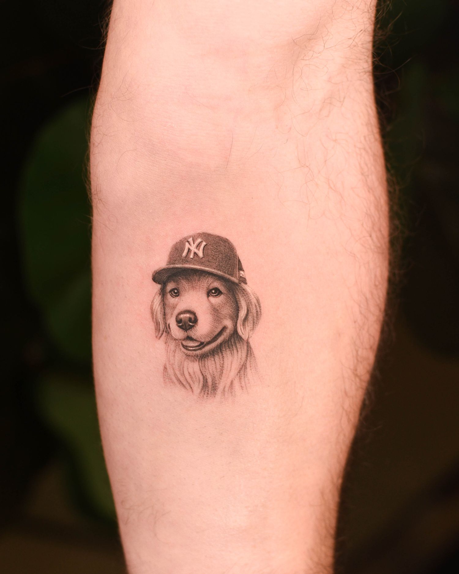 Tattoo — retriever in a NY cap